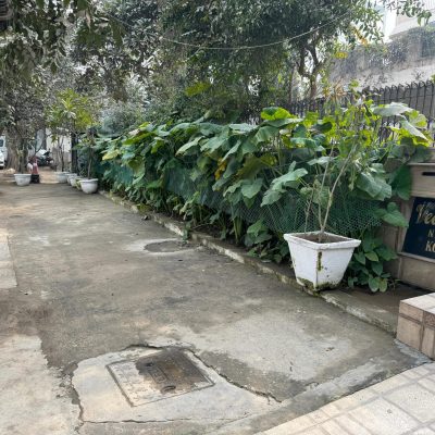 WhatsApp Image 2024-01-30 at 14.31.35